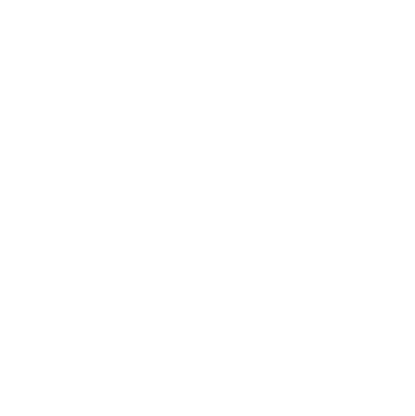 The Ecom Solutions Logo